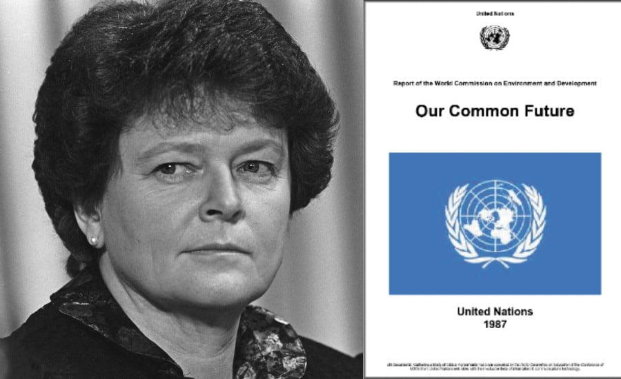 Brundtland Report