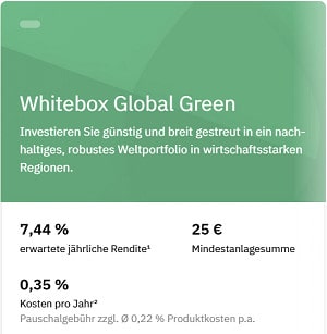 Anlagestrategie Whitebox Global Green
